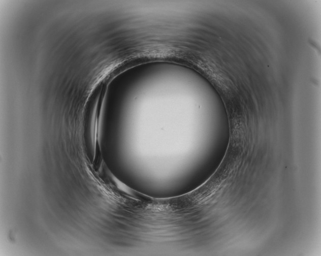 X0000098020440200804071357