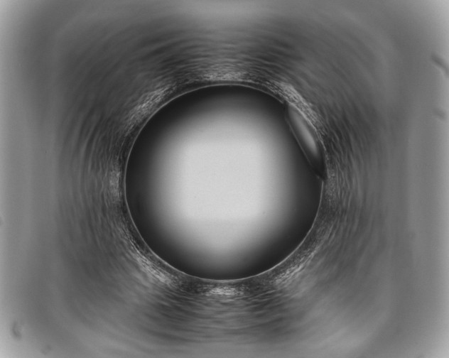 X0000098020441200804071357