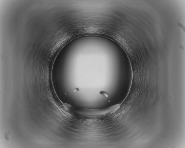 X0000098020442200804071357