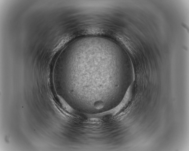 X0000098020443200804071357