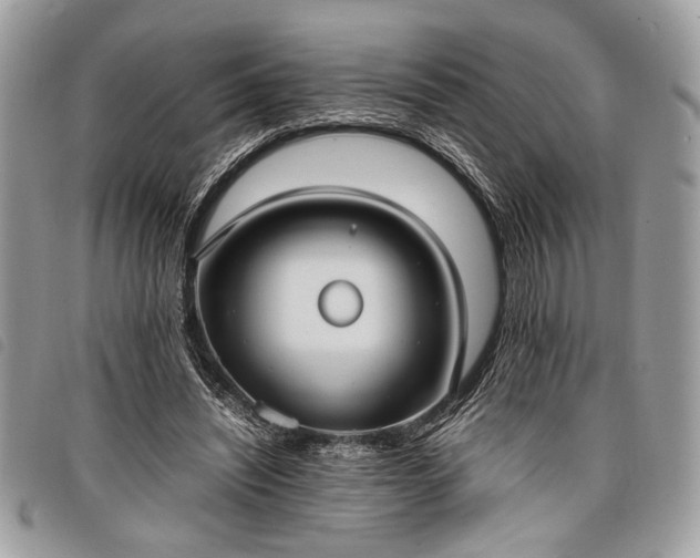 X0000098020444200804071357