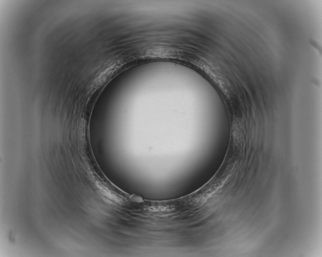 X0000098020445200804071358