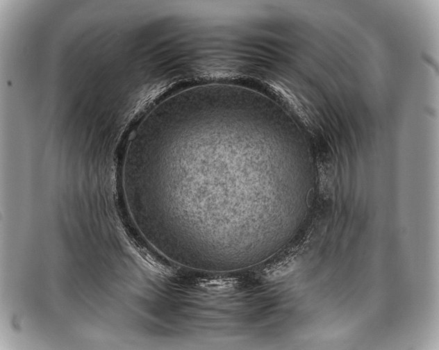 X0000098020447200804071358