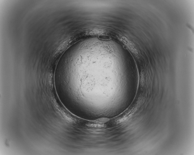 X0000098020449200804071358