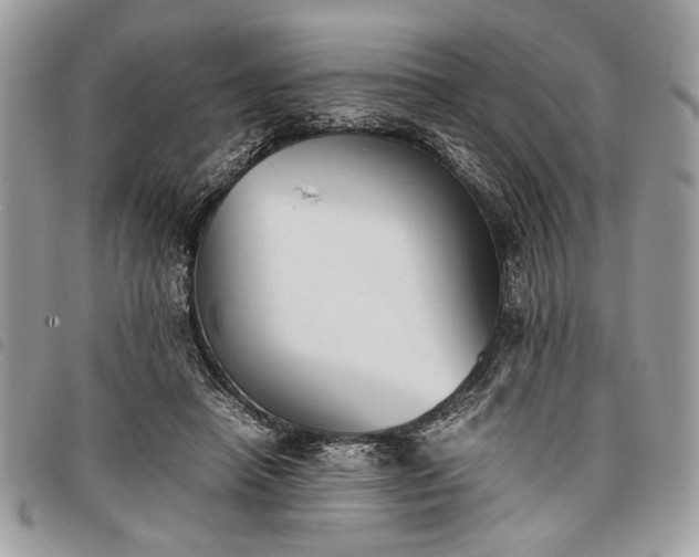 X0000098020450200804071358