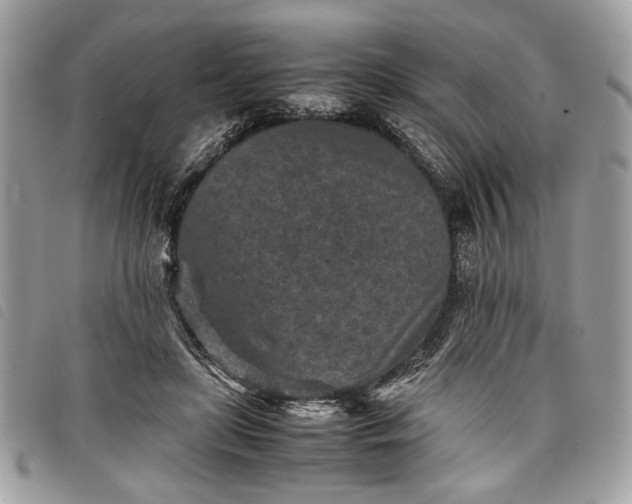 X0000098020451200804071358