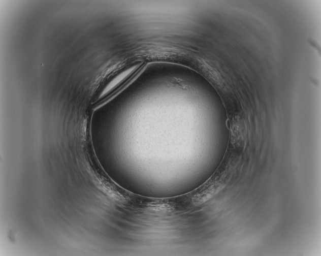 X0000098020454200804071358