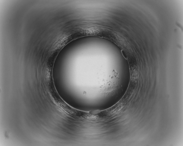 X0000098020456200804071358