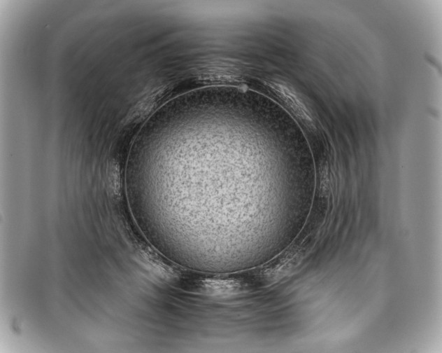 X0000098020457200804071358