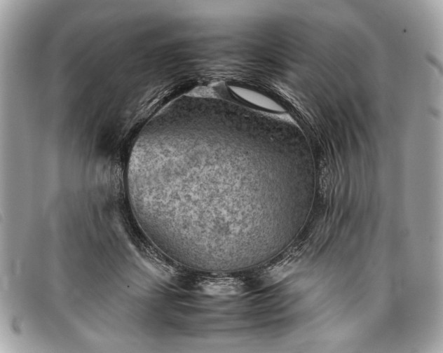 X0000098020459200804071358