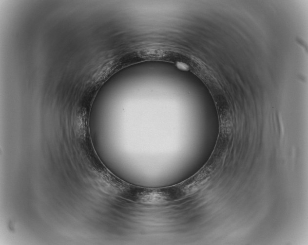 X0000098020460200804071358