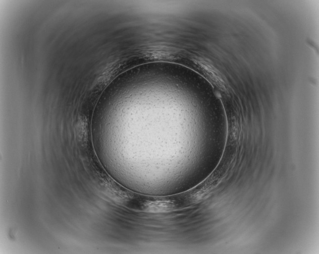 X0000098020461200804071358