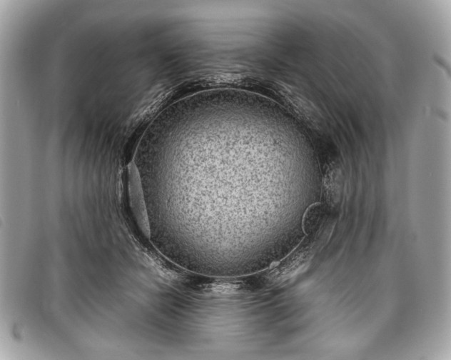 X0000098020462200804071358