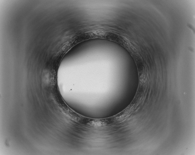 X0000098020464200804071358