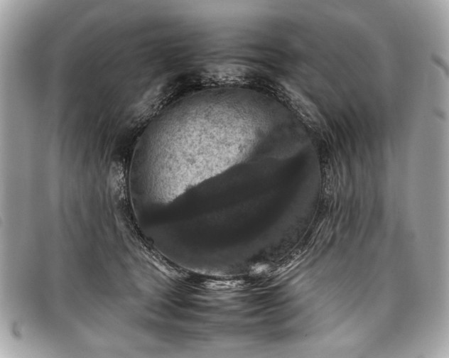 X0000098020465200804071358