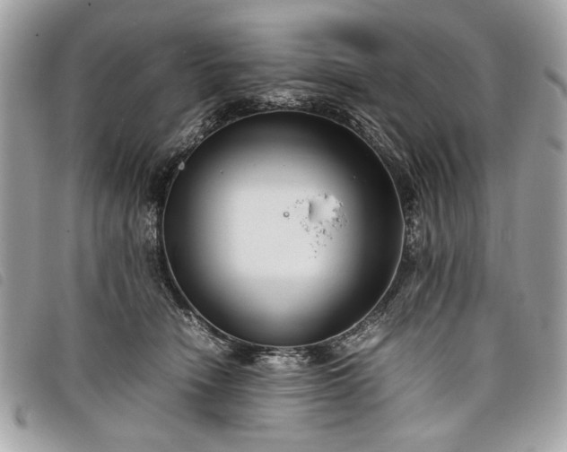 X0000098020466200804071358