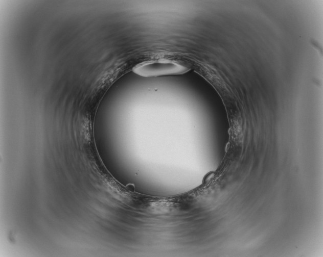 X0000098020470200804071358