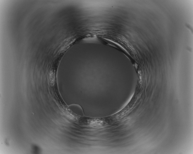 X0000098020471200804071358