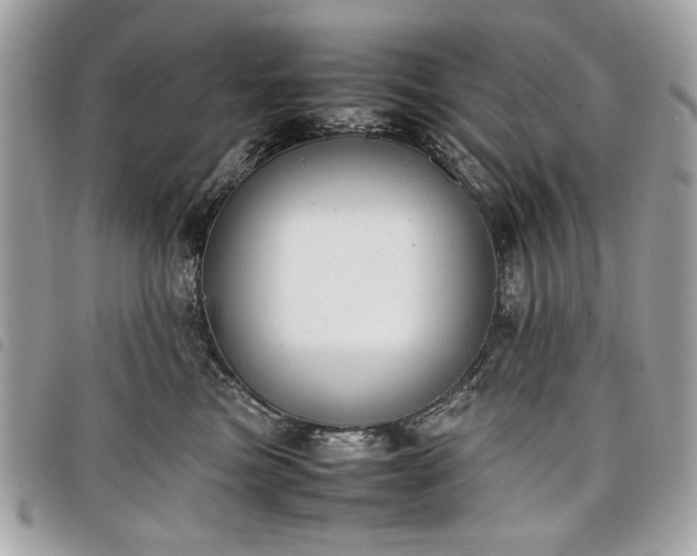 X0000098020473200804071358