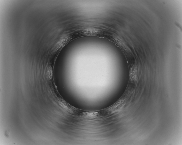 X0000098020474200804071358