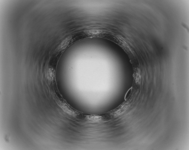 X0000098020476200804071358