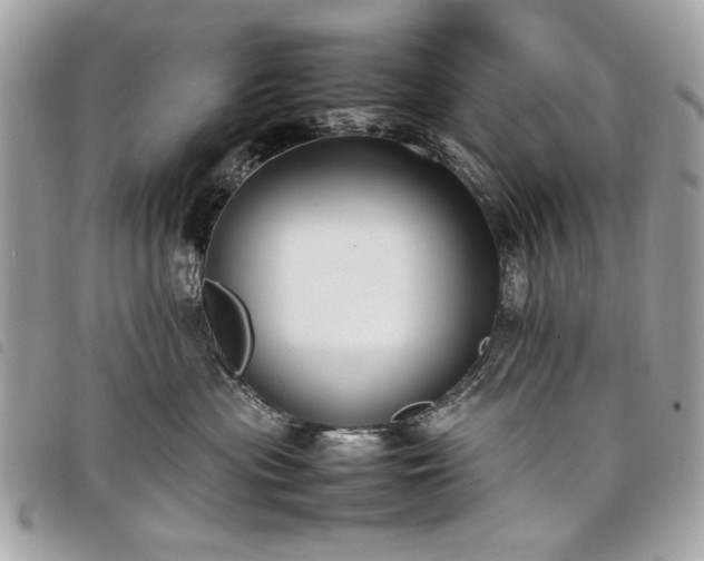 X0000098020477200804071358