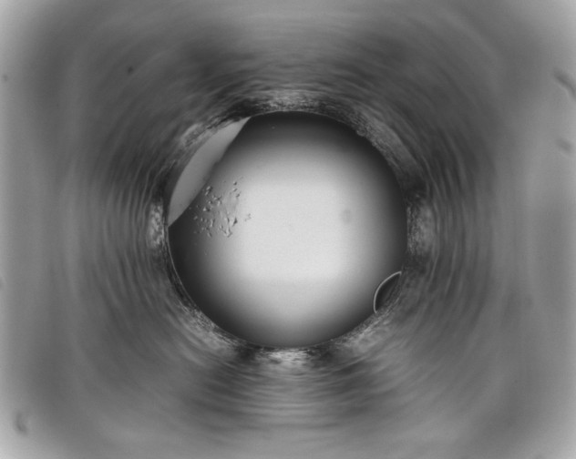 X0000098020478200804071358