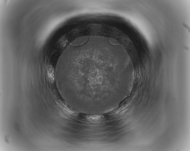 X0000098020479200804071358