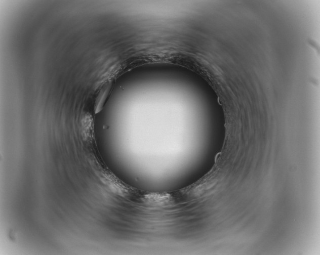 X0000098020480200804071358