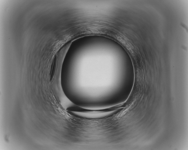 X0000098020481200804071357