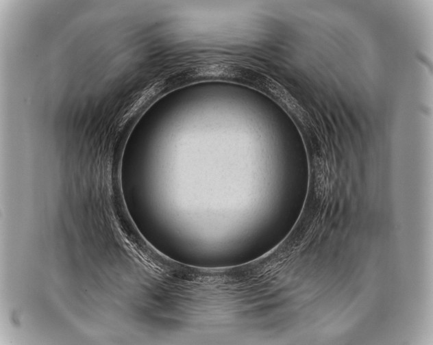 X0000098020482200804071357