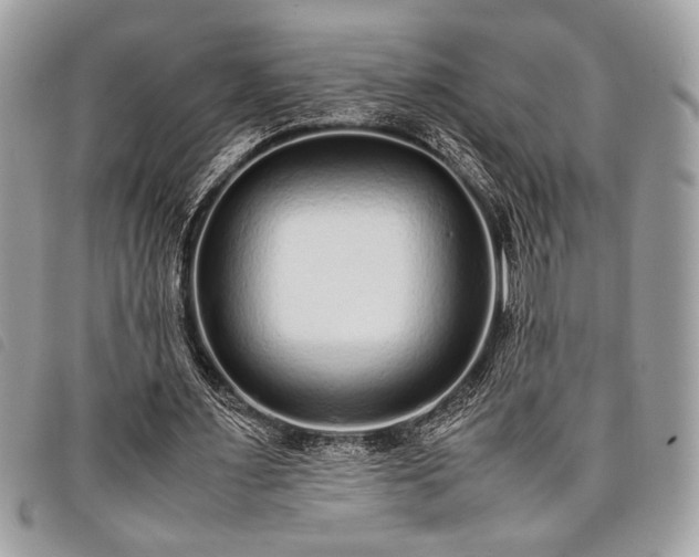 X0000098020483200804071357