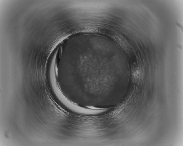 X0000098020484200804071357