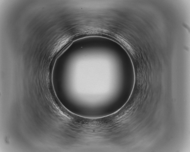 X0000098020485200804071357