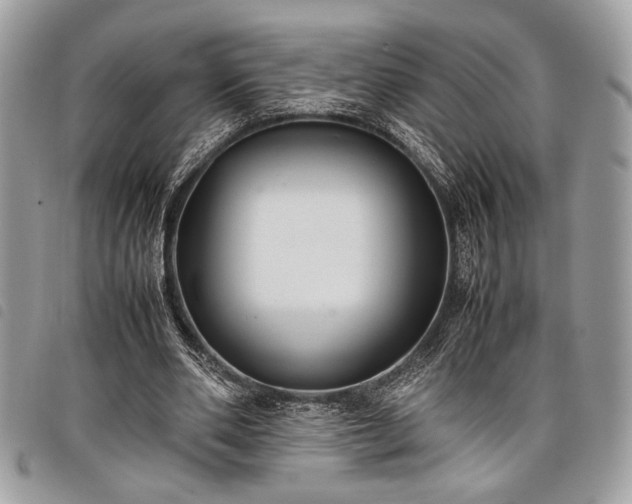 X0000098020486200804071357