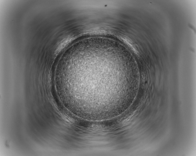 X0000098020487200804071357