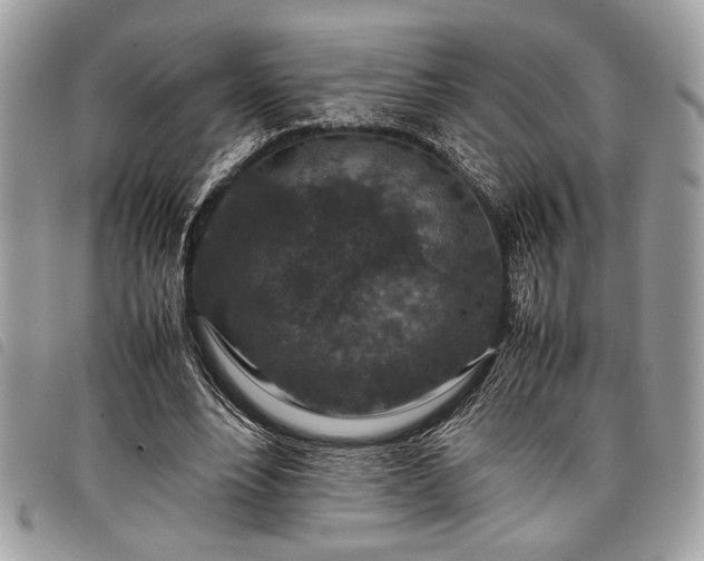 X0000098020488200804071357