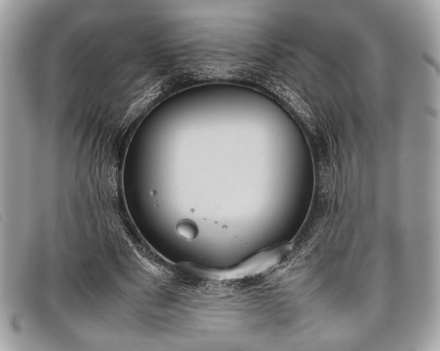 X0000098020489200804071357