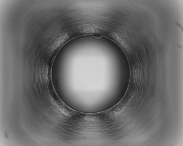 X0000098020490200804071357