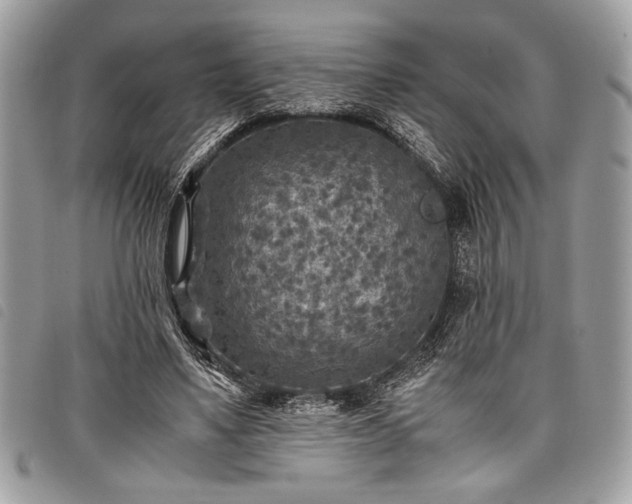 X0000098020491200804071357