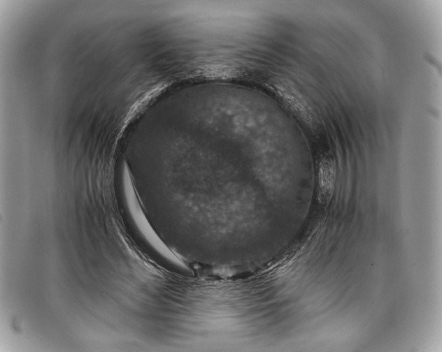 X0000098020492200804071357