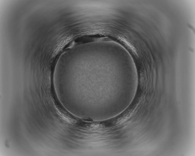 X0000098020493200804071357