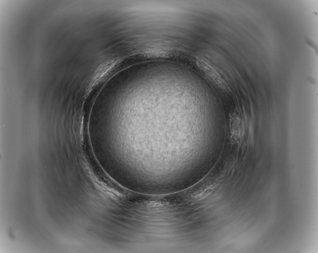 X0000098020494200804071357