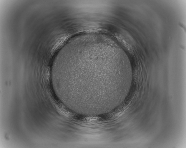 X0000098020495200804071357