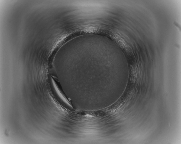 X0000098020496200804071357