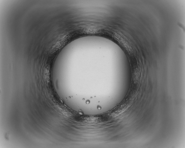 X0000098020497200804071357