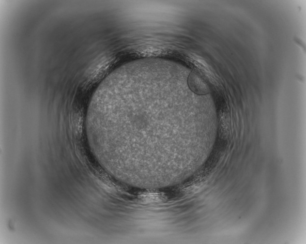 X0000098020499200804071357