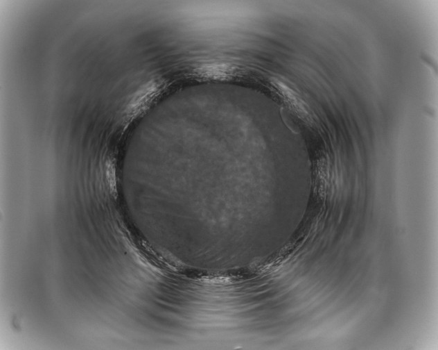 X0000098020500200804071357