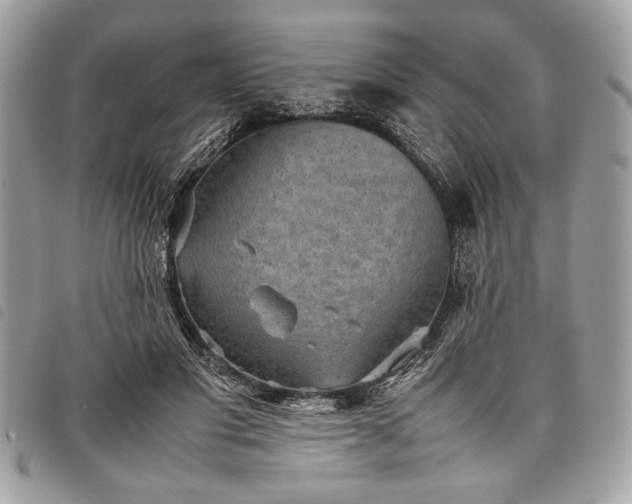 X0000098020501200804071357