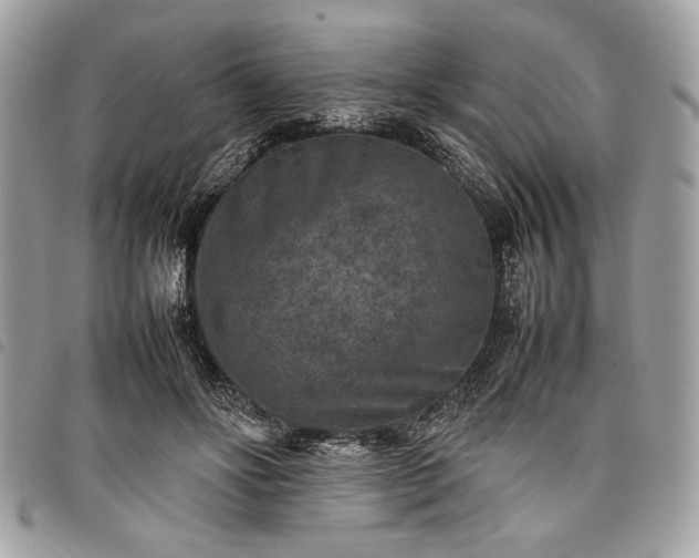 X0000098020502200804071357